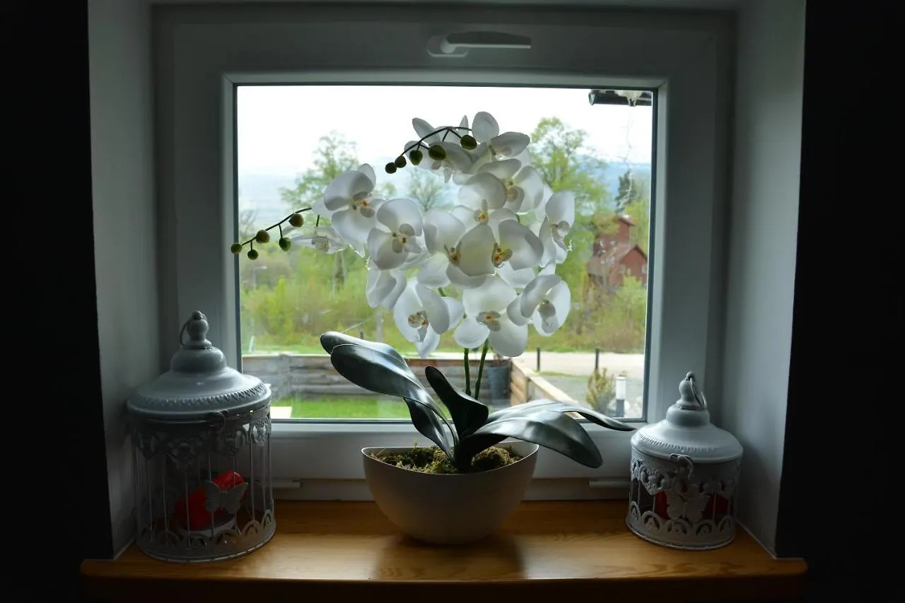 Apartamenty I Pokoje Goscinne Ala Szklarska Poreba 0*,  Poland